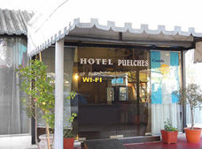 Puelches Hotel San Rafael  Ngoại thất bức ảnh